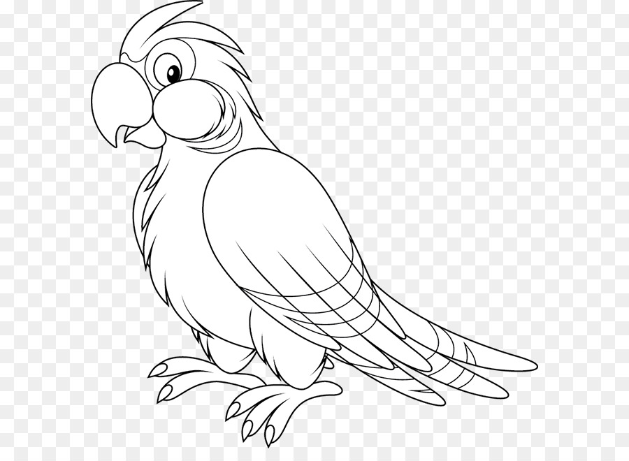 parrot clipart line art