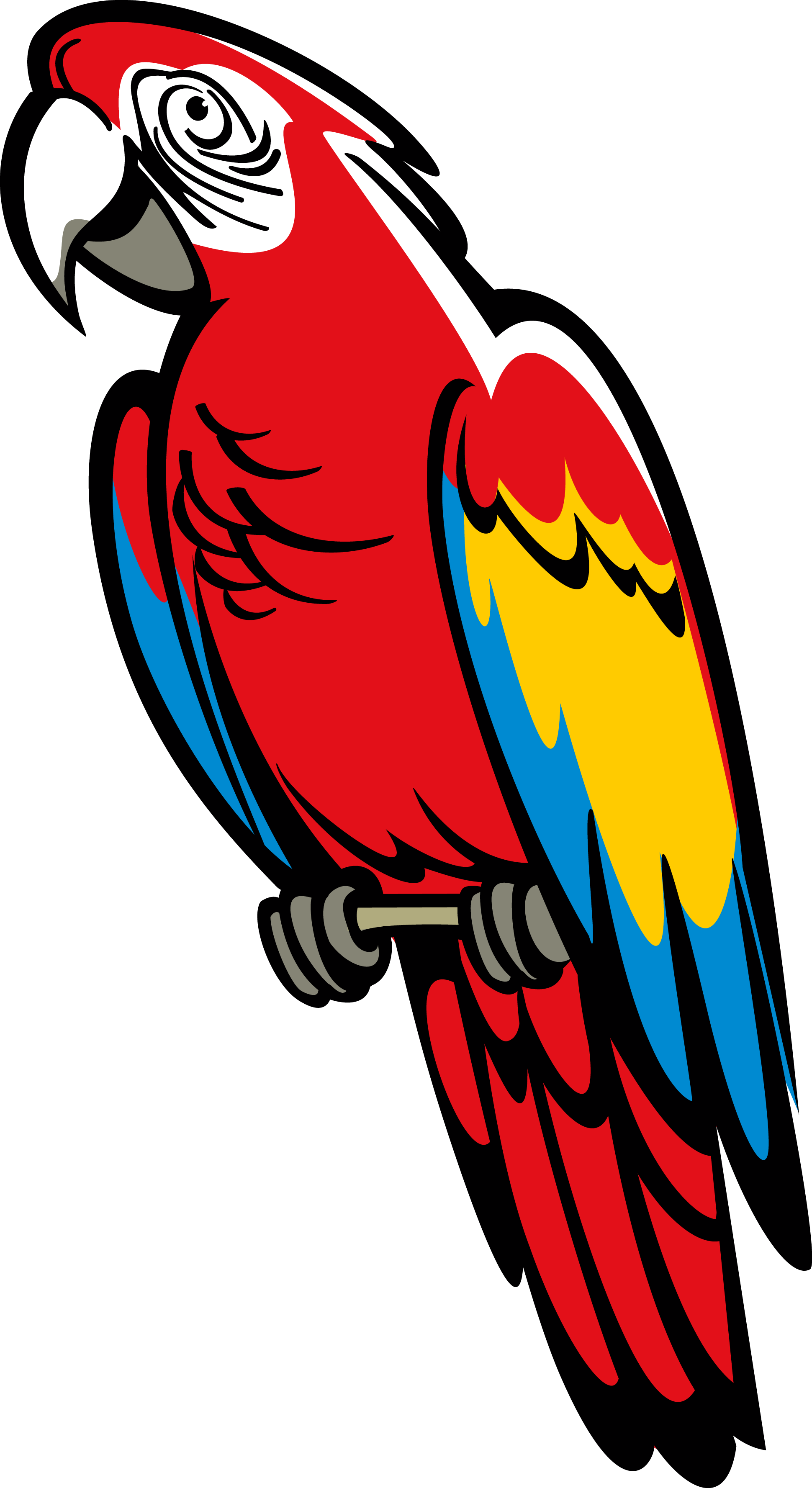 parrot clipart love symbol