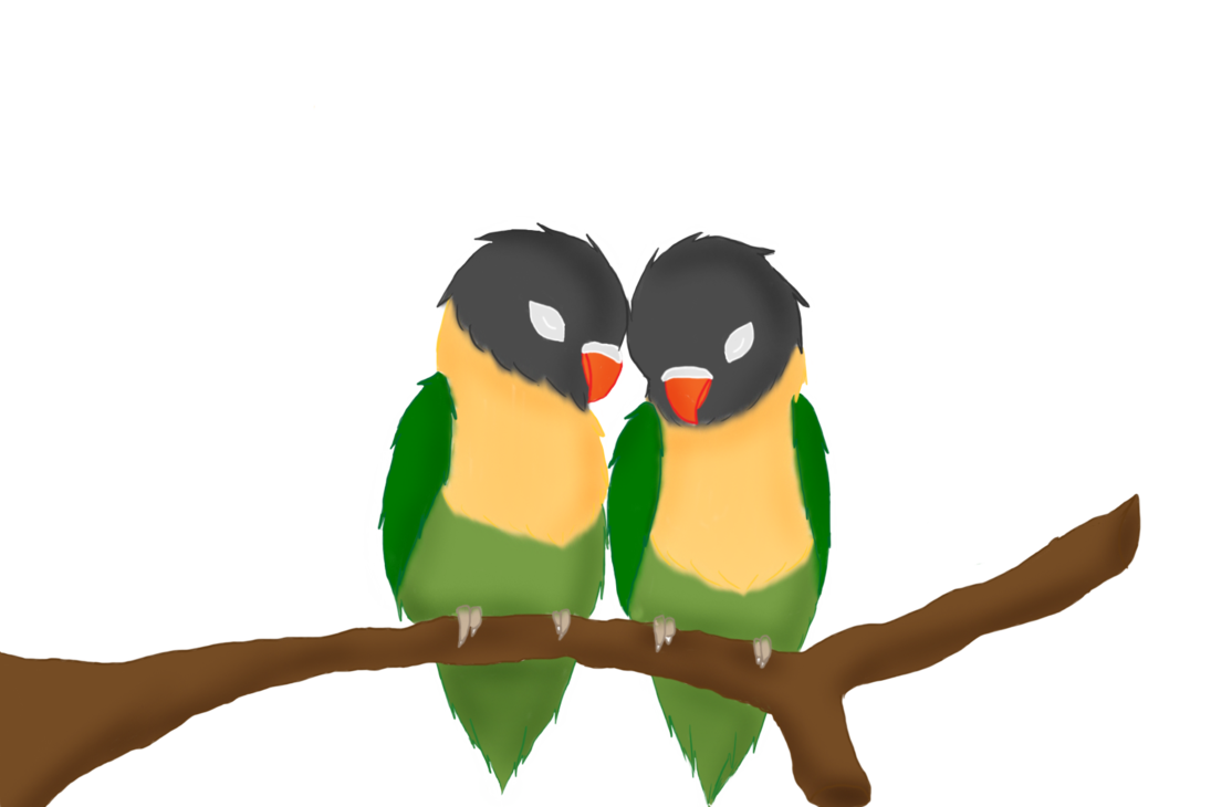 Logo Burung Lovebird Kartun - Arini Gambar