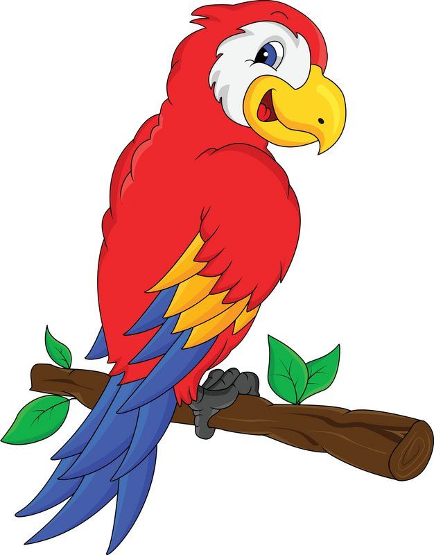 Parrot clipart lovely. Free download best on