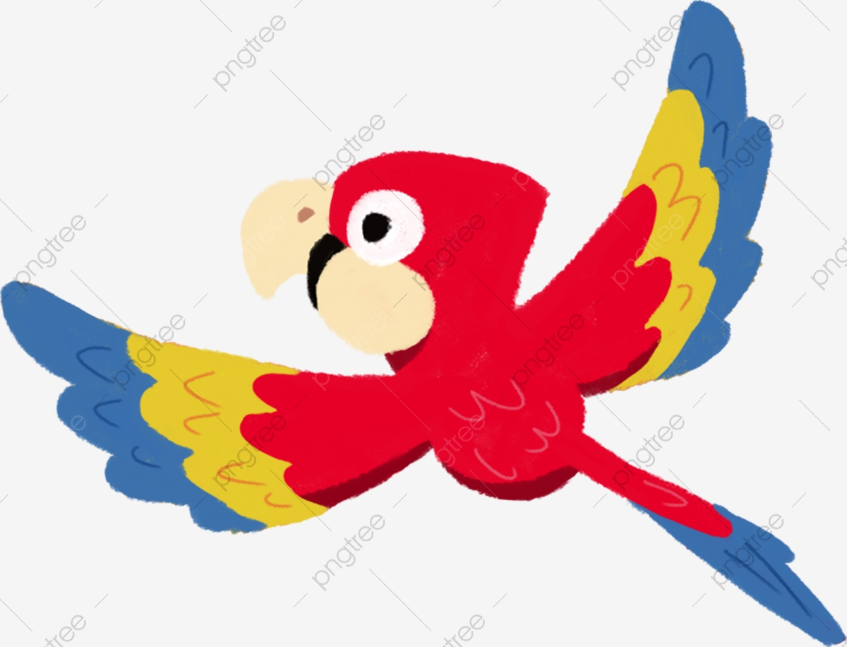 parrot clipart lovely