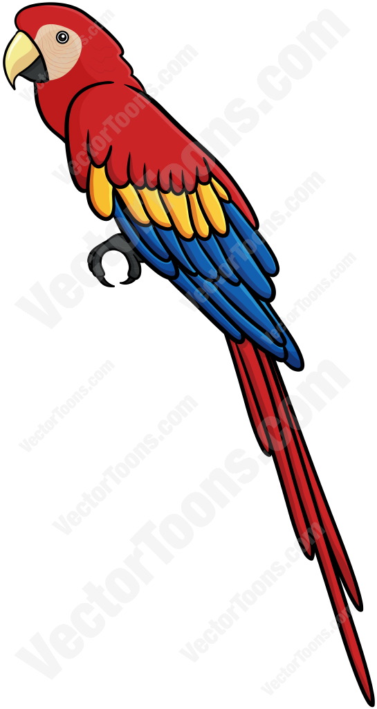 parrot clipart object