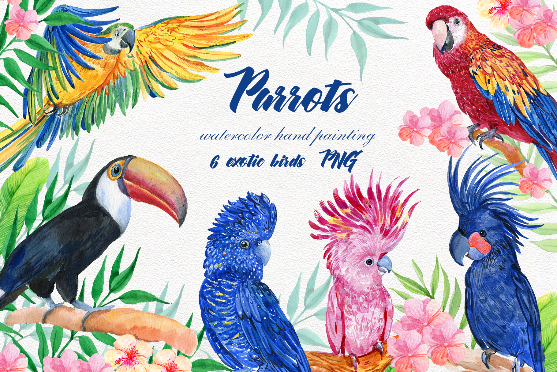 parrot clipart one