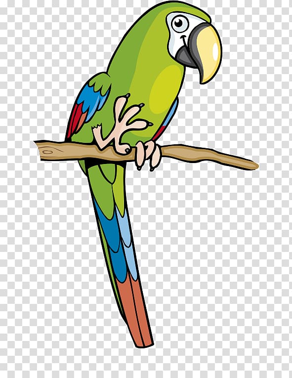 parrot clipart parakeet