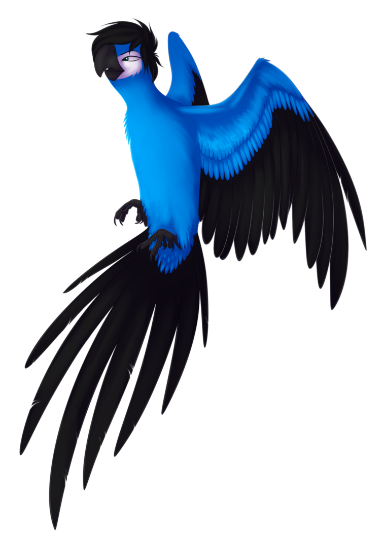parrot clipart perrot
