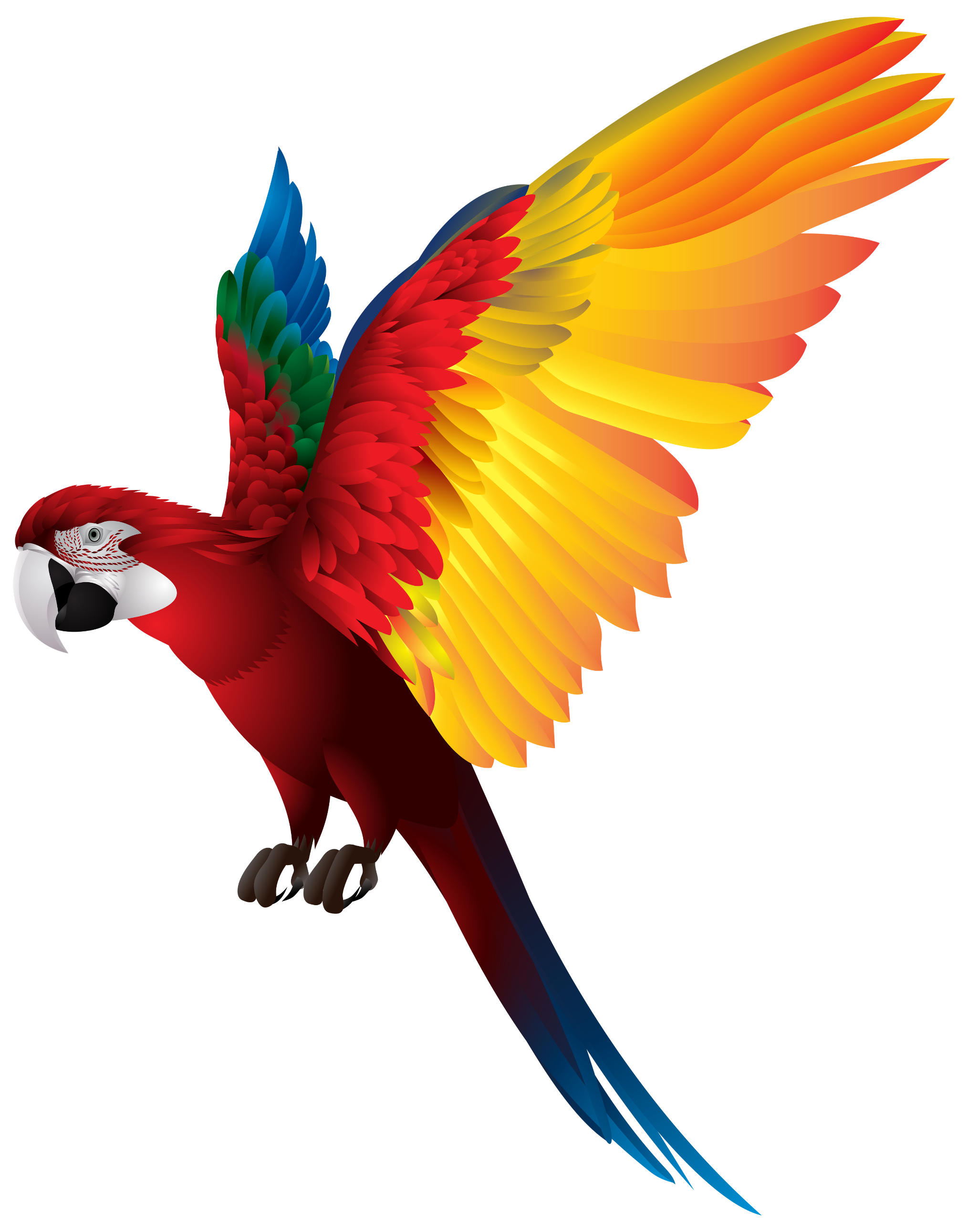 parrot clipart picsart png