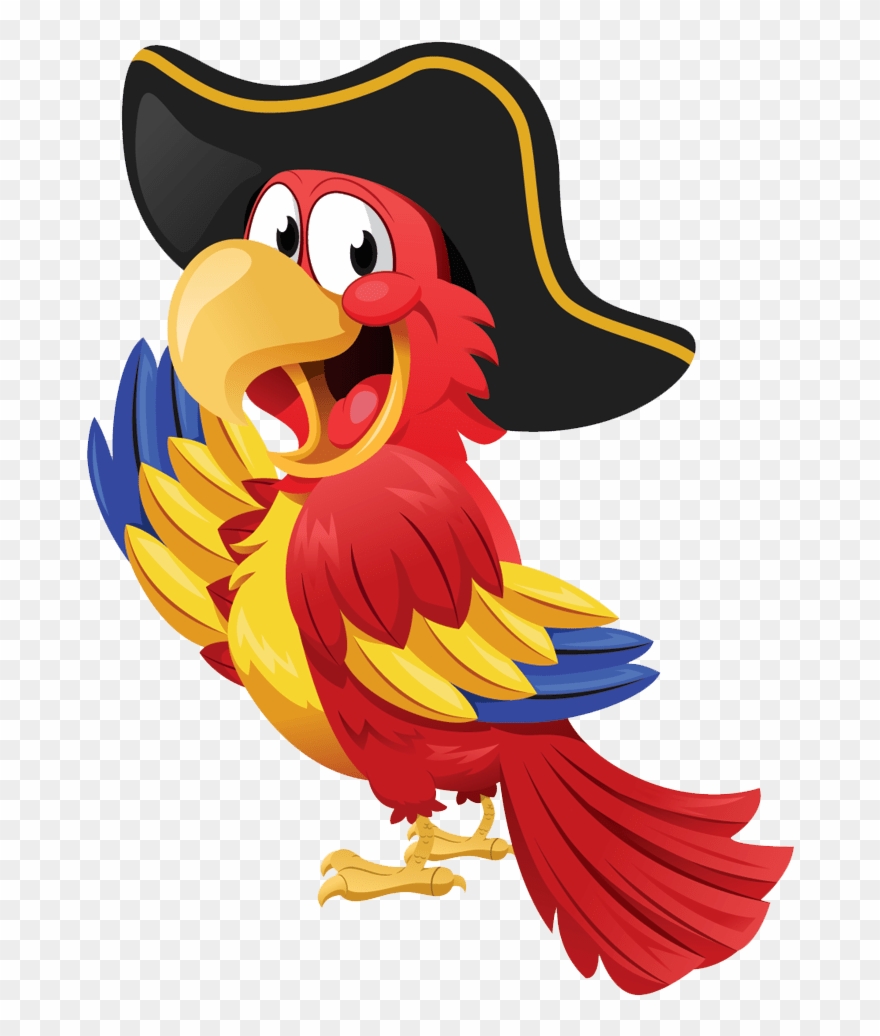 parrot clipart pirate
