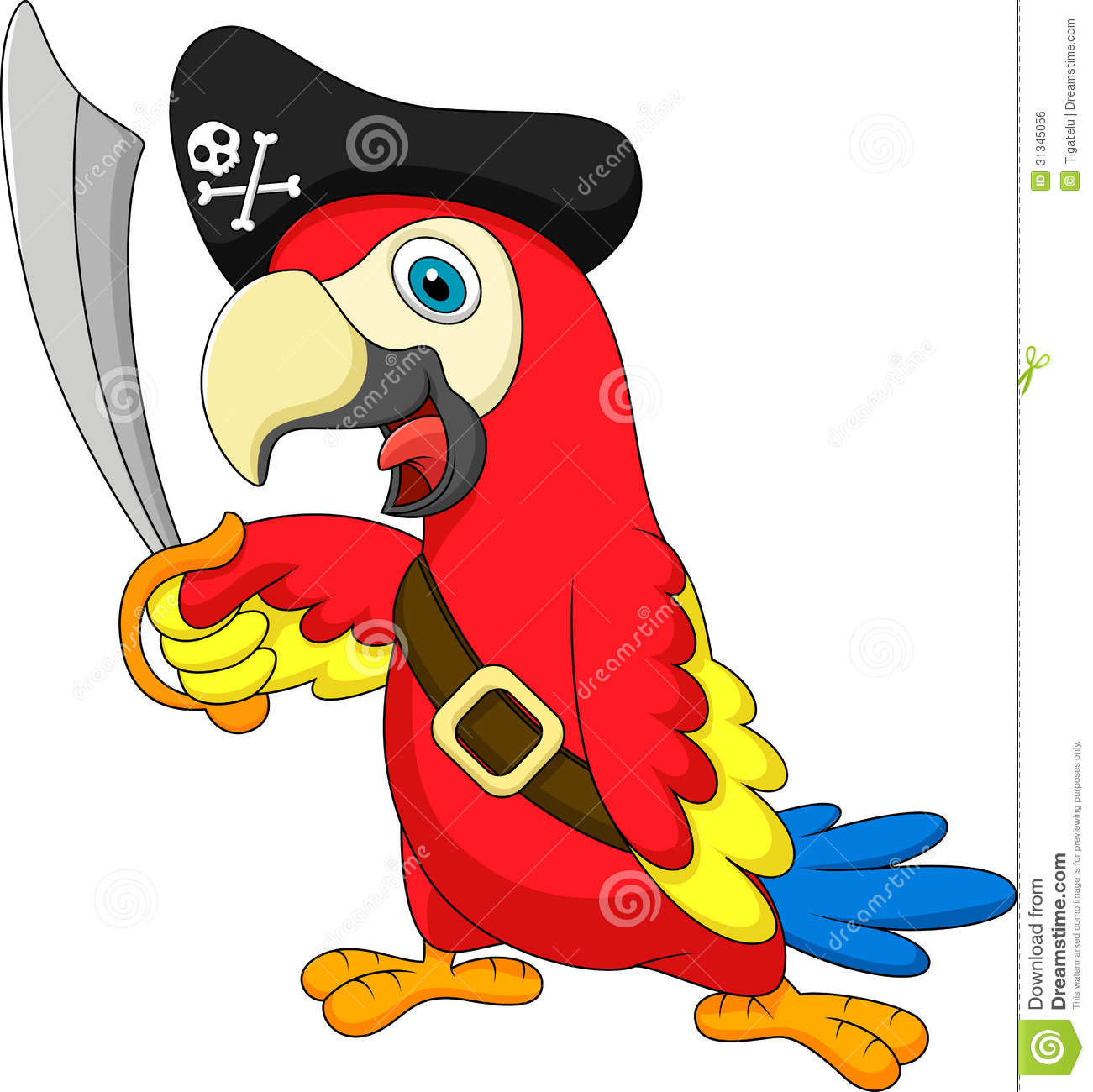 parrot clipart printable pirate