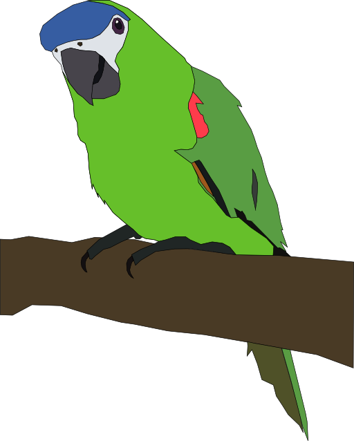 parrot clipart public domain