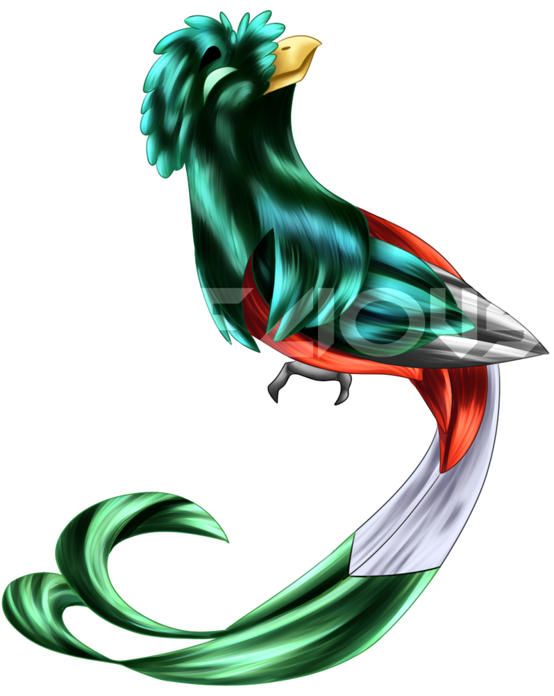 parrot clipart quetzal bird