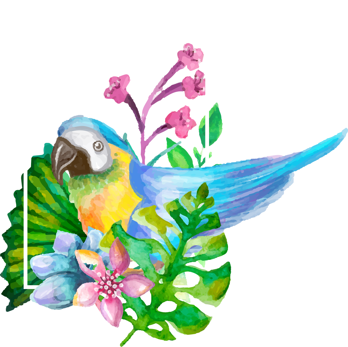 parrot clipart realistic