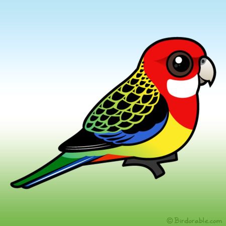 parrot clipart rosella
