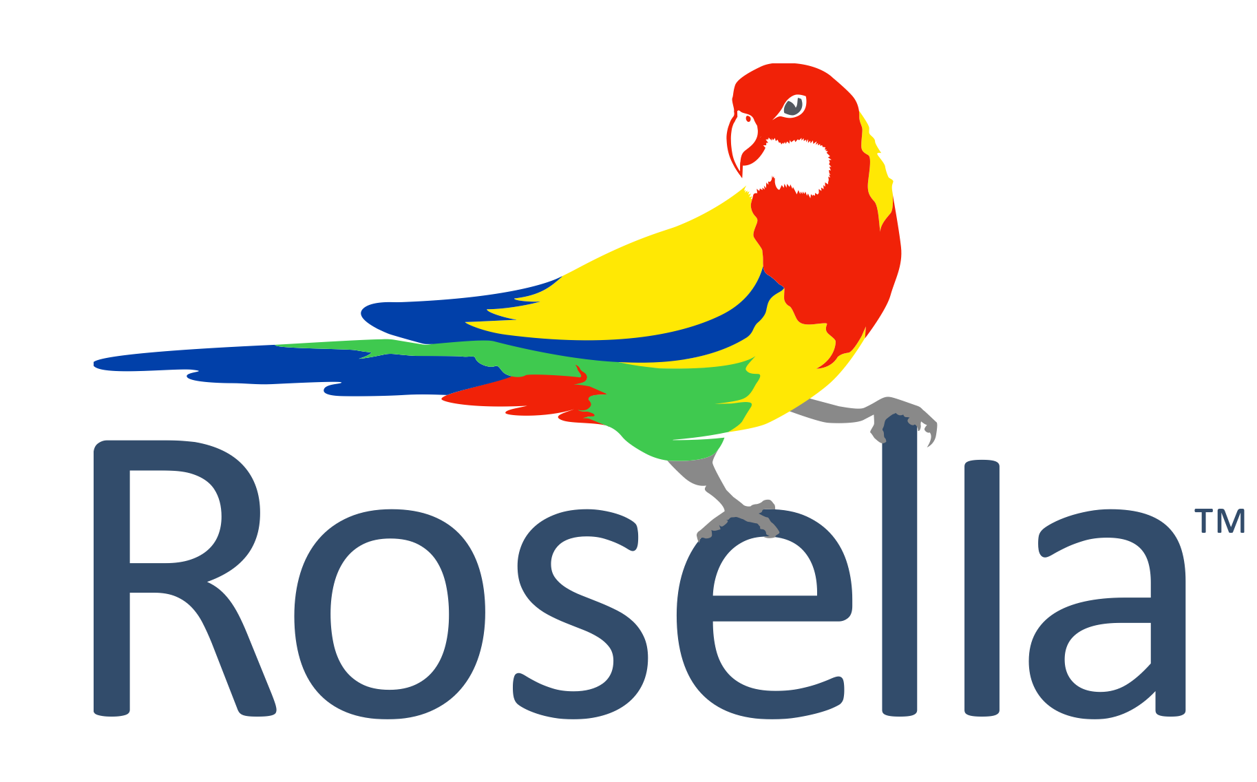 parrot clipart rosella
