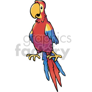 parrot clipart stock photo