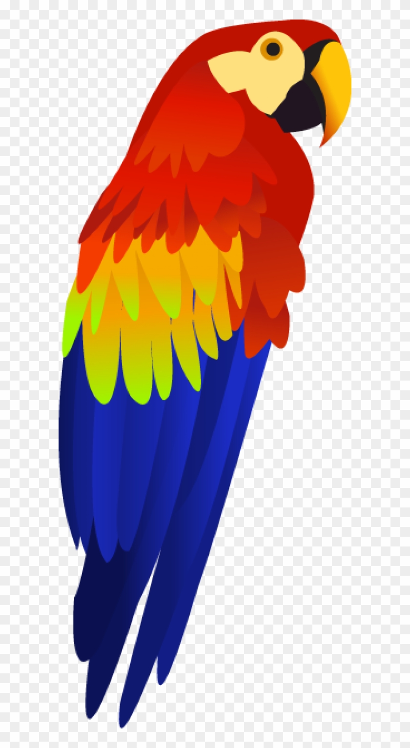 parrot clipart stock photo