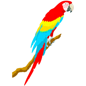 parrot clipart svg