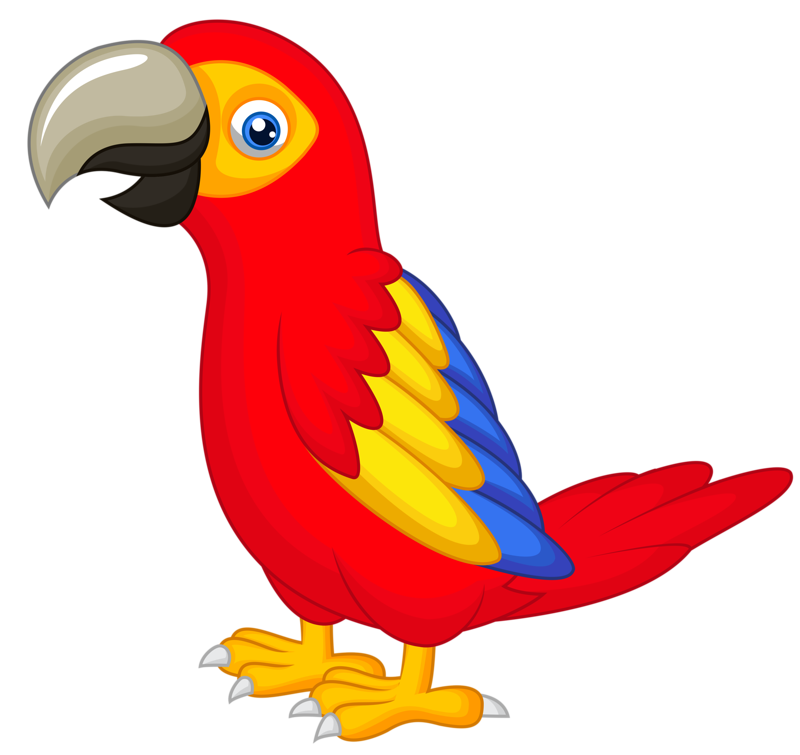 parrot clipart talking