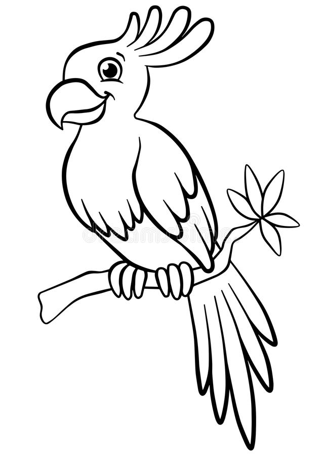 parrot clipart tree drawing