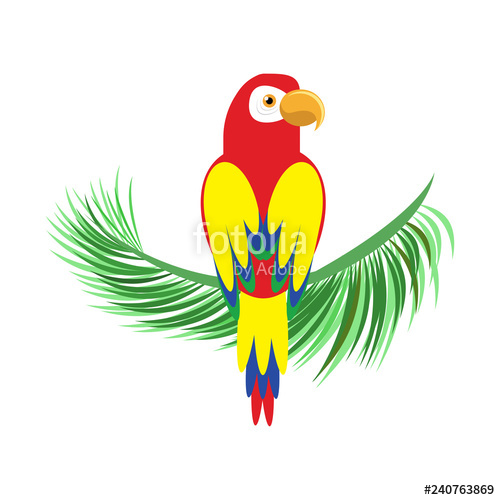 parrot clipart vector