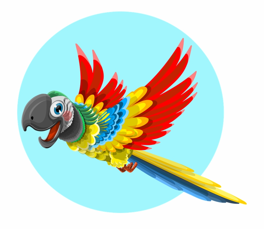 parrot clipart zoo
