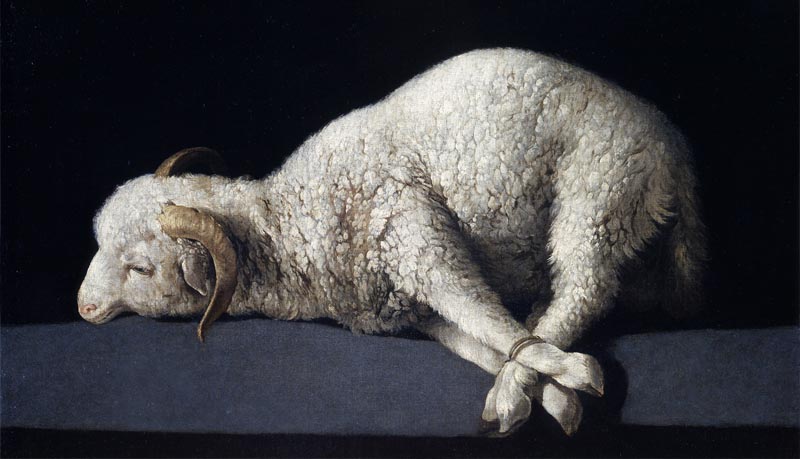 passover clipart lamb sacrifice