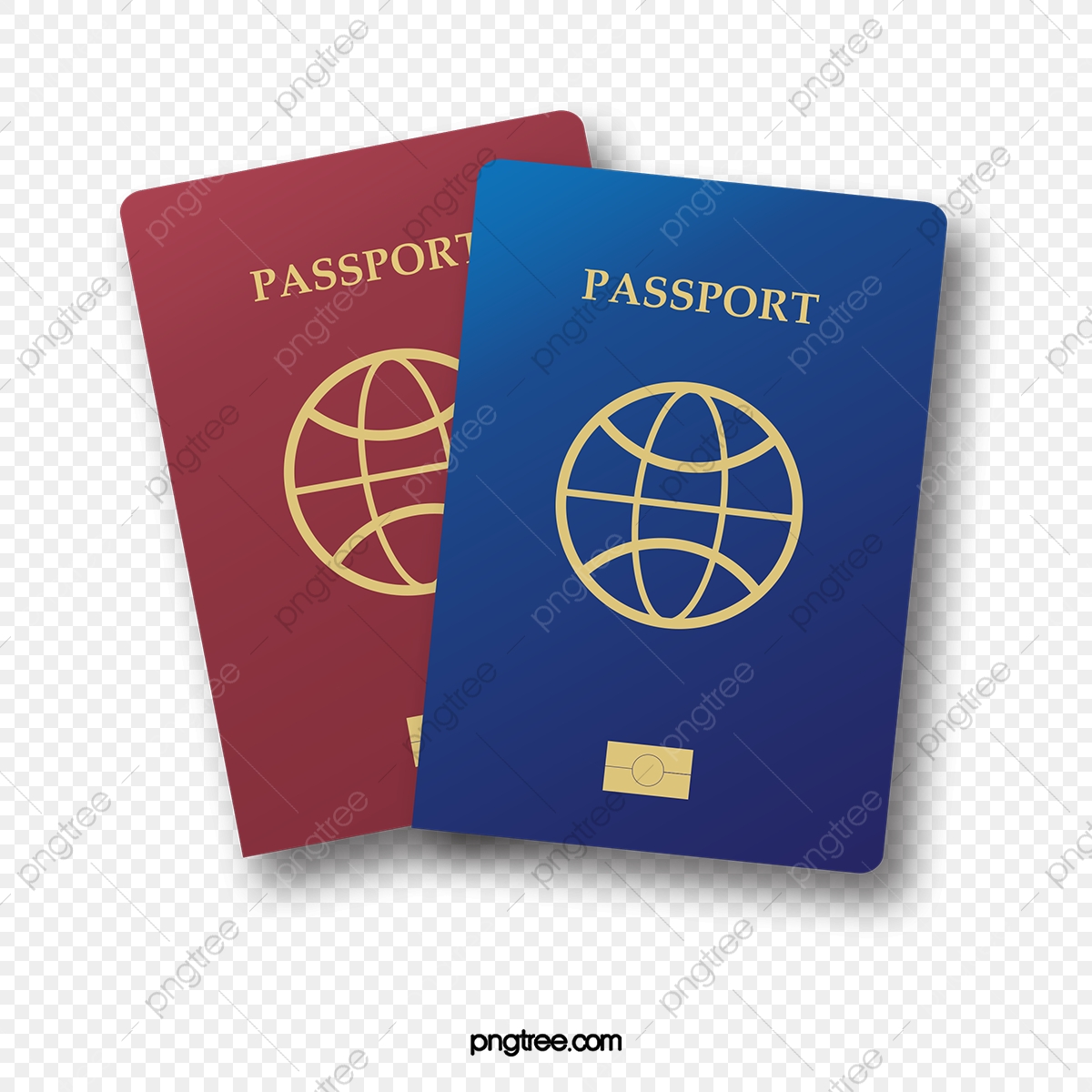Векторный паспорт