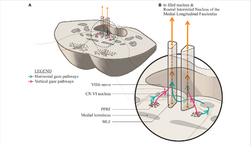 path clipart horizontal pathway