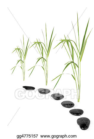 Clip art zen stock. Pathway clipart grass path