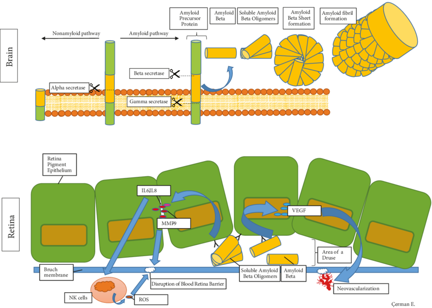 Pathway clipart green design. Figure the schematization of