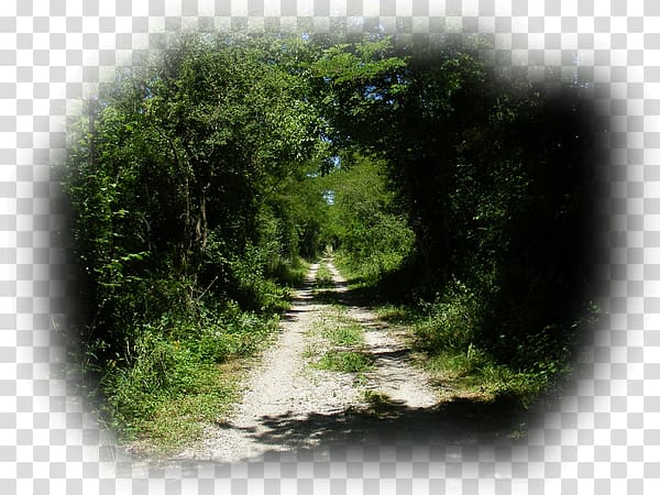 trail clipart long path