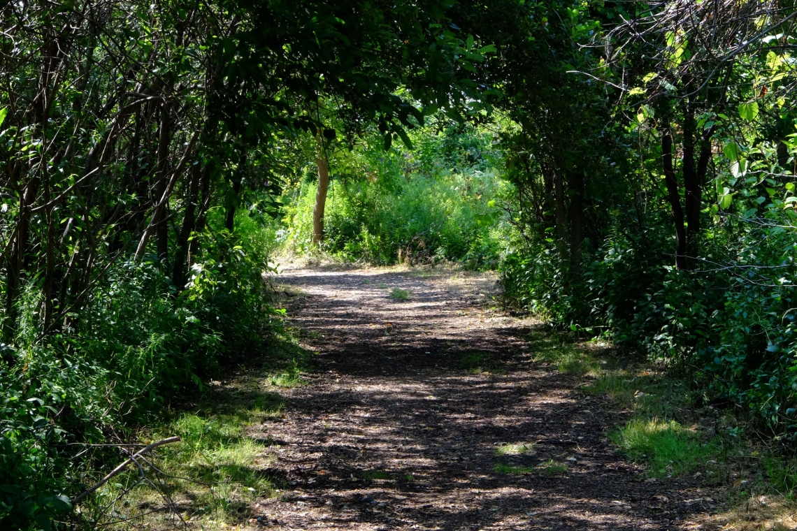 Pathway clipart park path. Walks outings toronto field