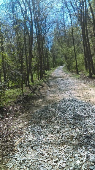 trail clipart rocky path