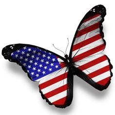 Cartoon butterflies pic for. Patriotic clipart butterfly
