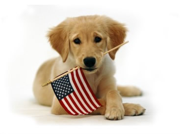 Free dog cliparts download. Patriotic clipart pet