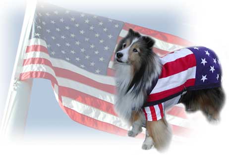 Patriotic clipart pet. Free dog cliparts download