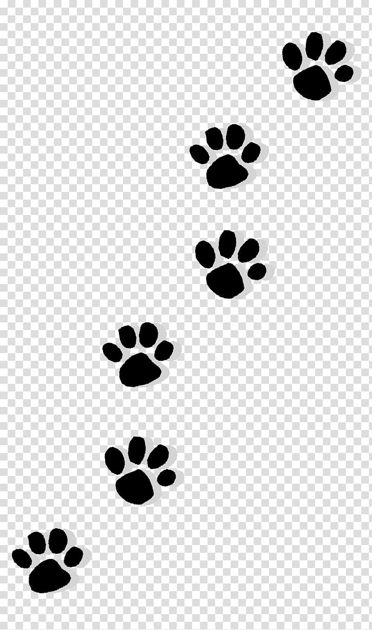 Paws clipart dachshund, Paws dachshund Transparent FREE for download on ...