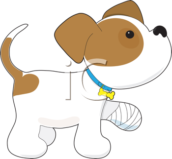 Paw clipart dog leg. Royalty free image of