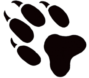 paw clipart fox