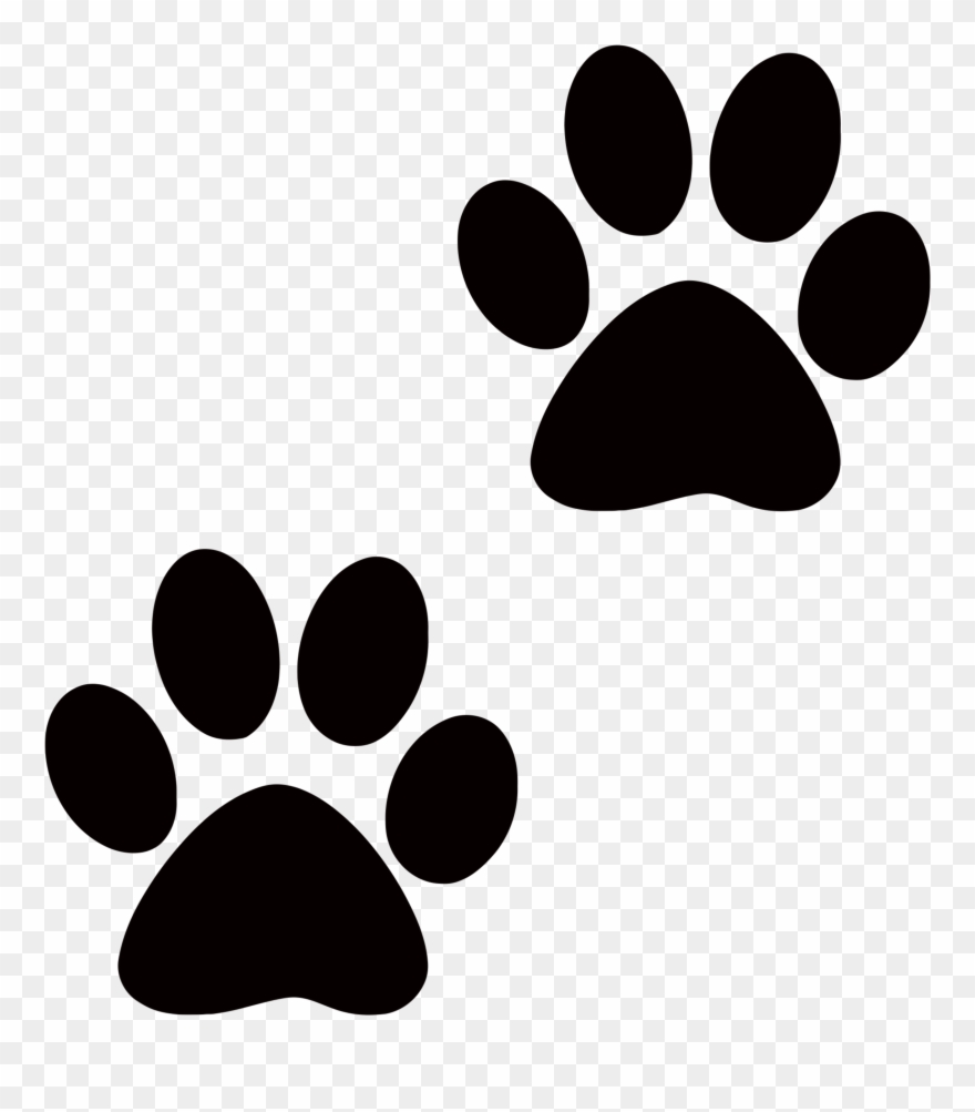 Paws clipart easy dog, Paws easy dog Transparent FREE for