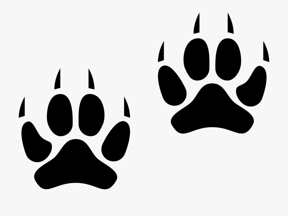 pawprint clipart lynx