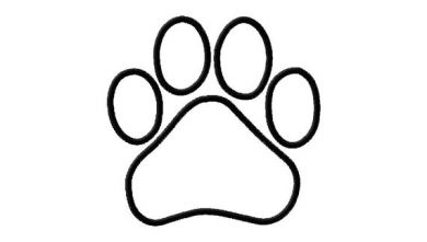 paw clipart outline