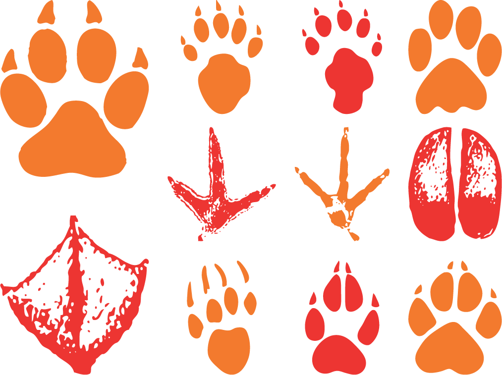paw clipart pring