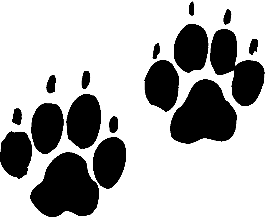 paw clipart real tiger