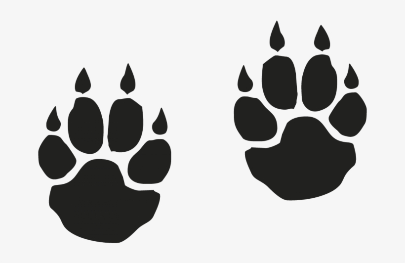 Download Paws clipart saber, Paws saber Transparent FREE for ...