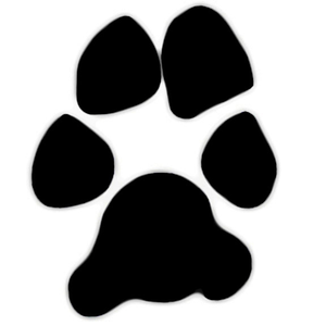 paw clipart single