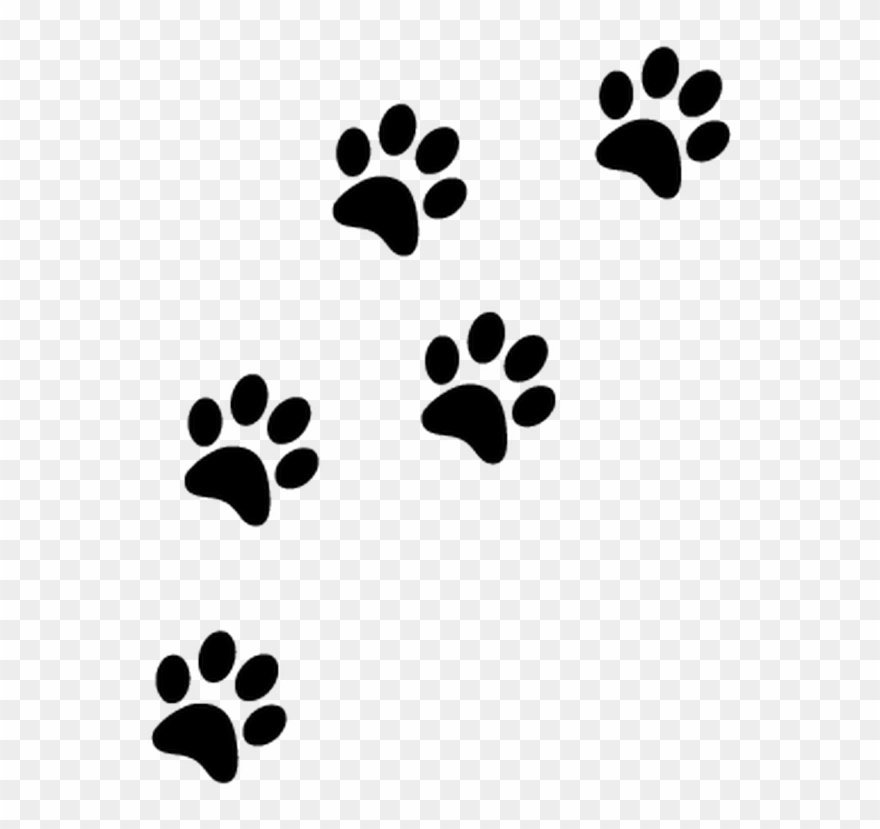 paw clipart transparent background