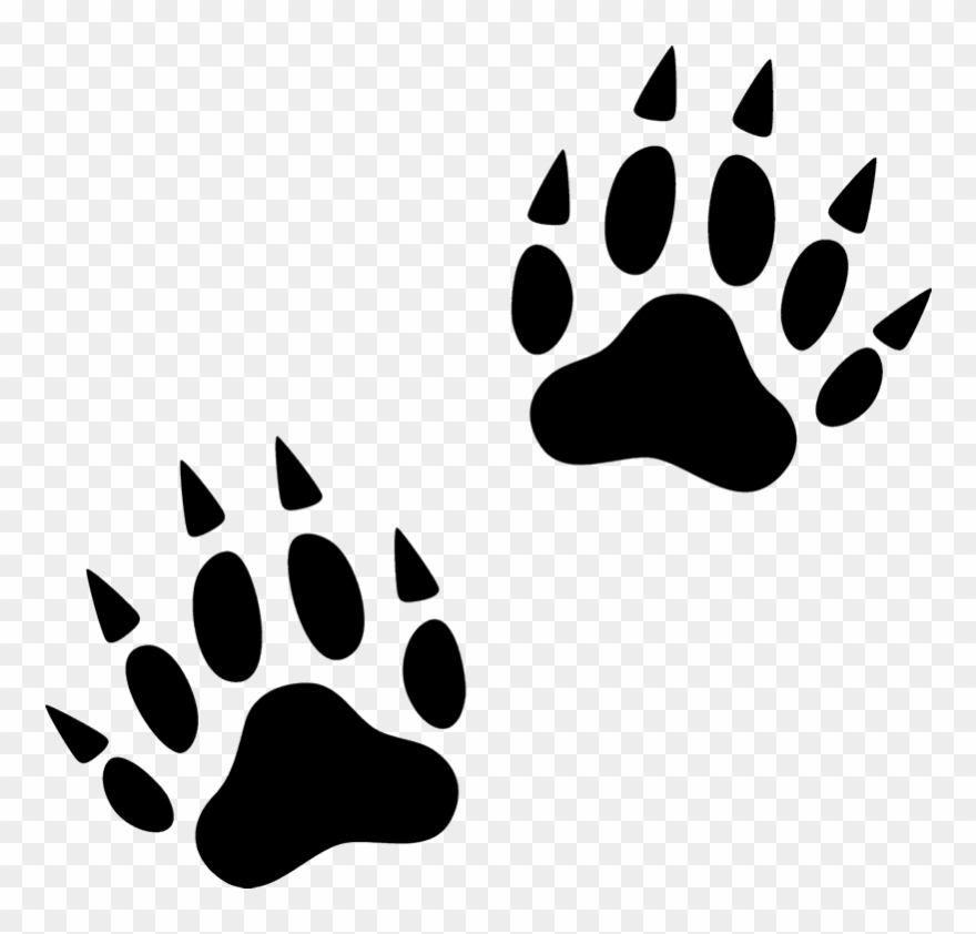 paws clipart footprint
