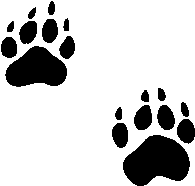 paws clipart animated