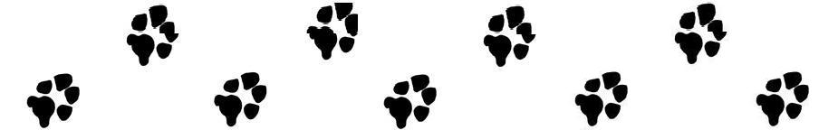 Dog paw border panda. Pawprint clipart banner