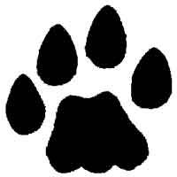 Pinterest . Pawprint clipart lynx